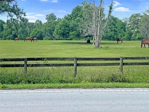 5378 W Highway 329 Reddick FL 32686