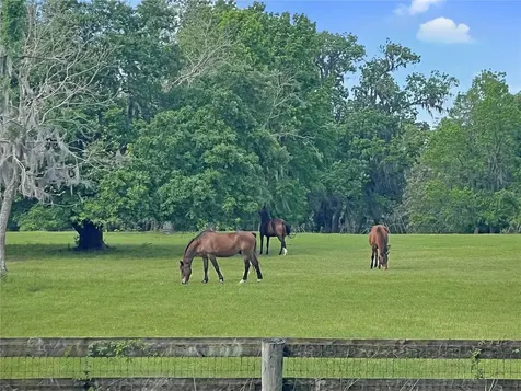 5378 W Highway 329 Reddick FL 32686