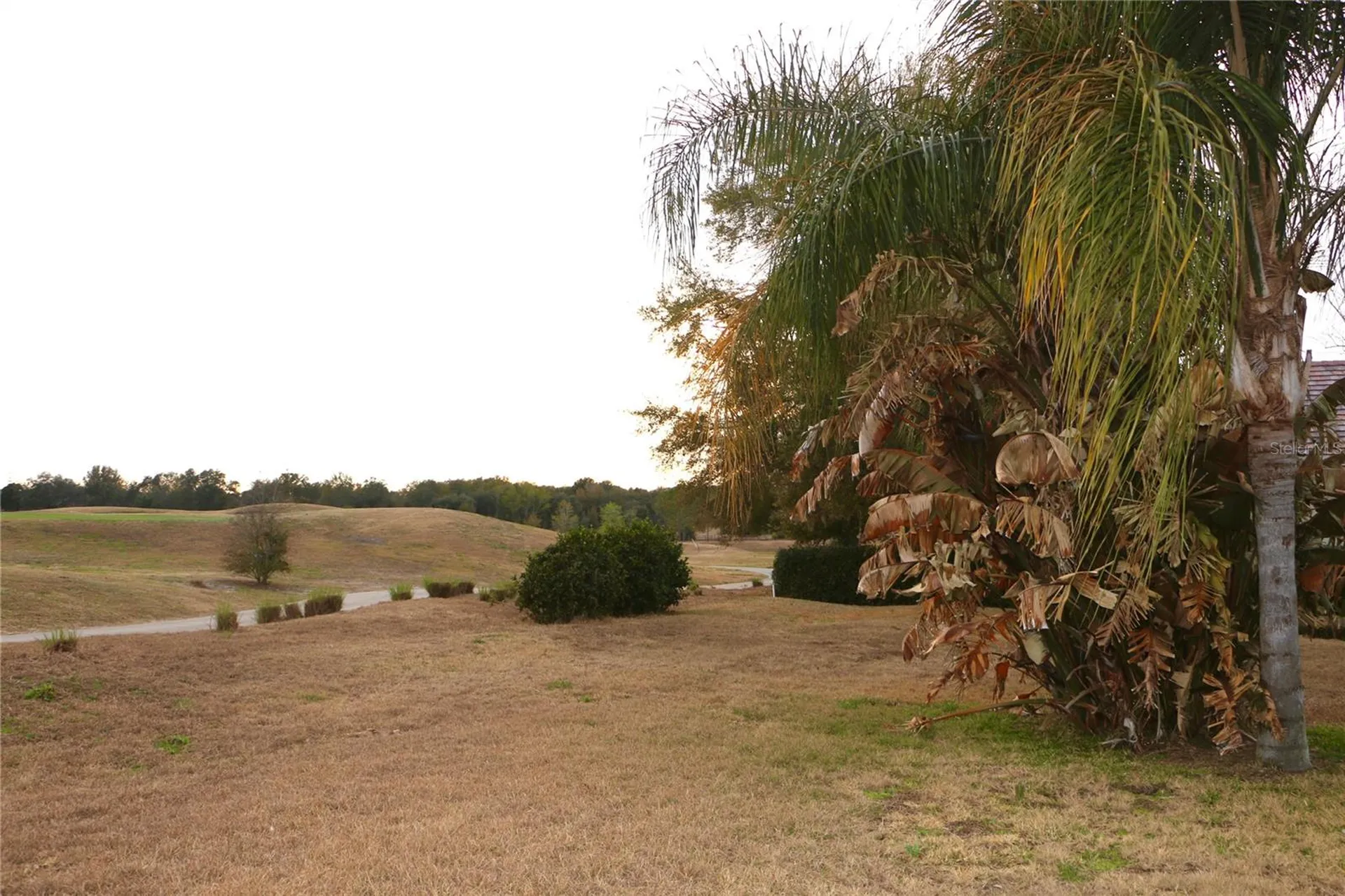 25447 High Hampton Circle Sorrento FL 32776