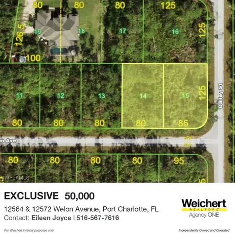 12564 E Welon Avenue Port Charlotte FL 33953