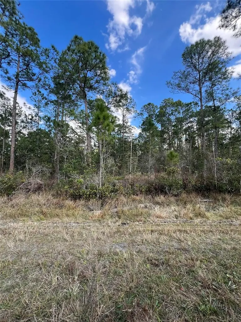 6727 Balboa Boulevard Sebring FL 33872