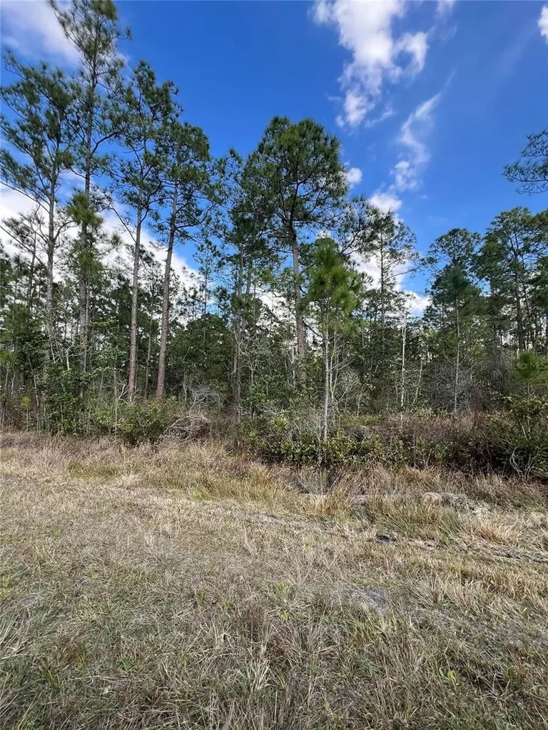 6727 Balboa Boulevard Sebring FL 33872