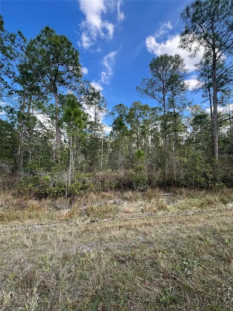 6727 Balboa Boulevard Sebring FL 33872