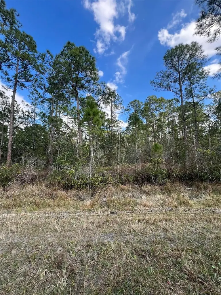6727 Balboa Boulevard Sebring FL 33872
