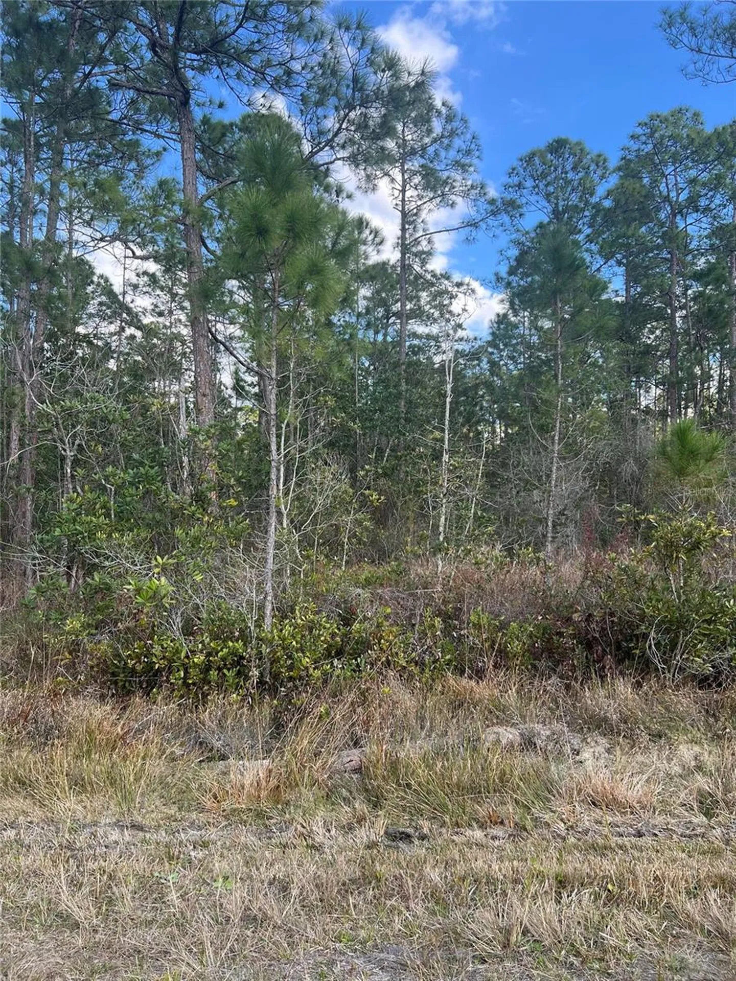 6727 Balboa Boulevard Sebring FL 33872