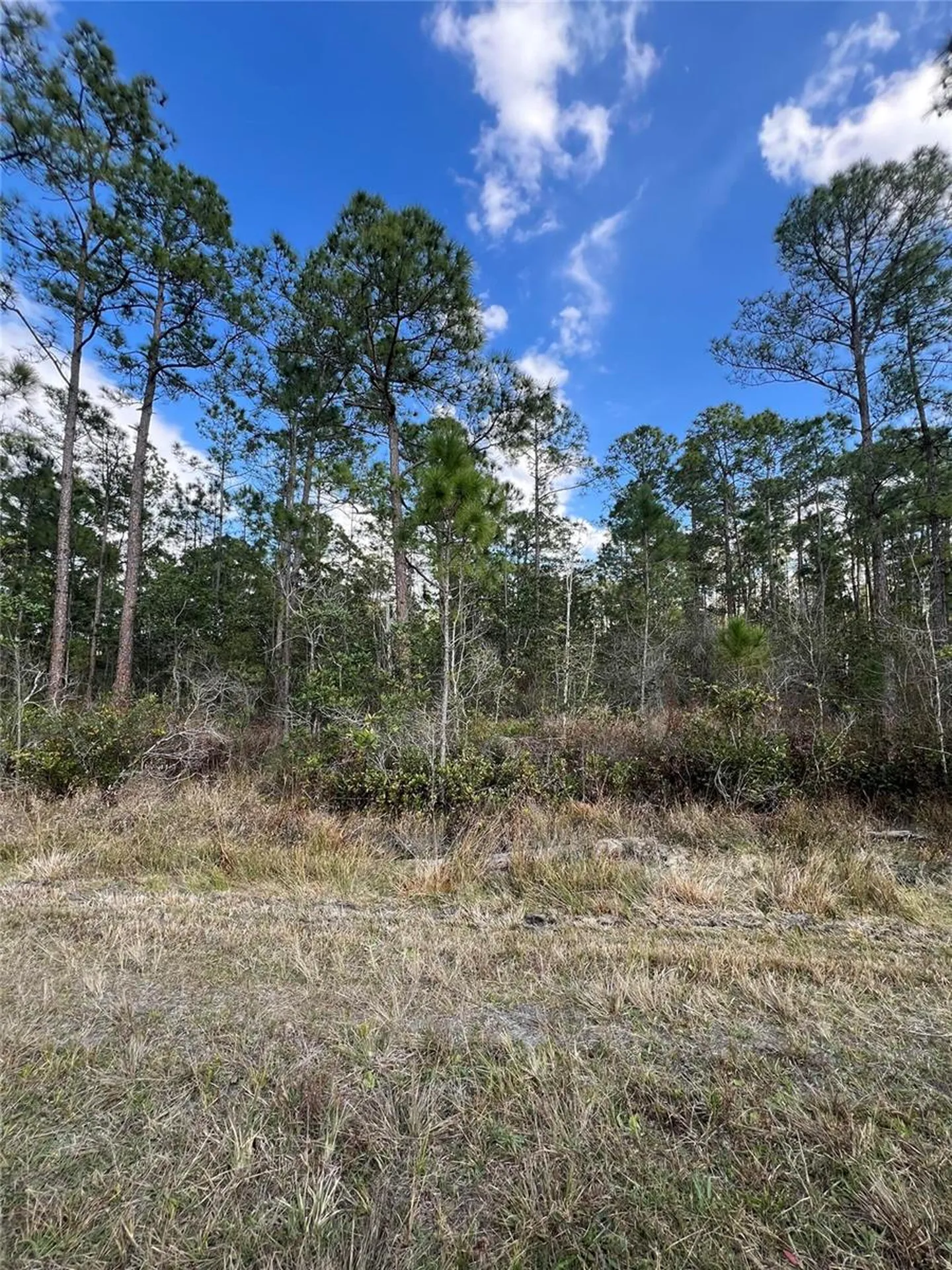 6727 Balboa Boulevard Sebring FL 33872
