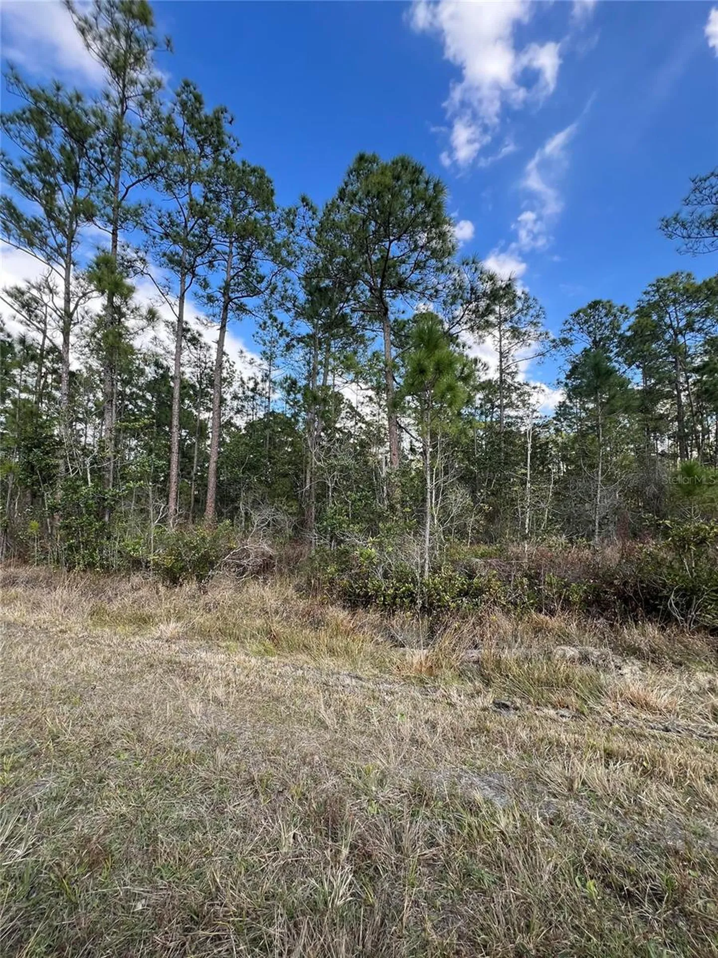 6727 Balboa Boulevard Sebring FL 33872