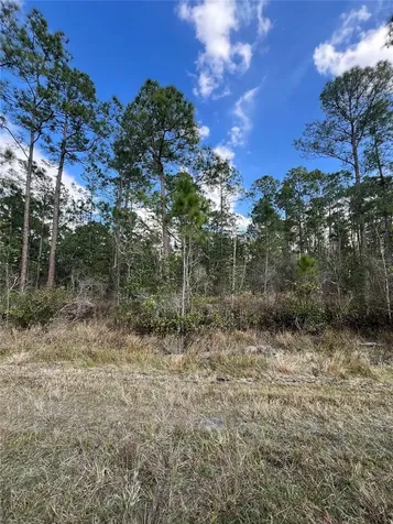 6727 Balboa Boulevard Sebring FL 33872