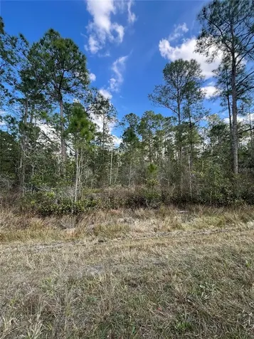 6727 Balboa Boulevard Sebring FL 33872