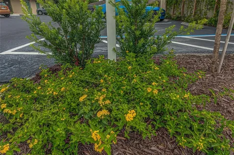 125 W Plymouth Ave, Ste. 121 Road Deland FL 32720