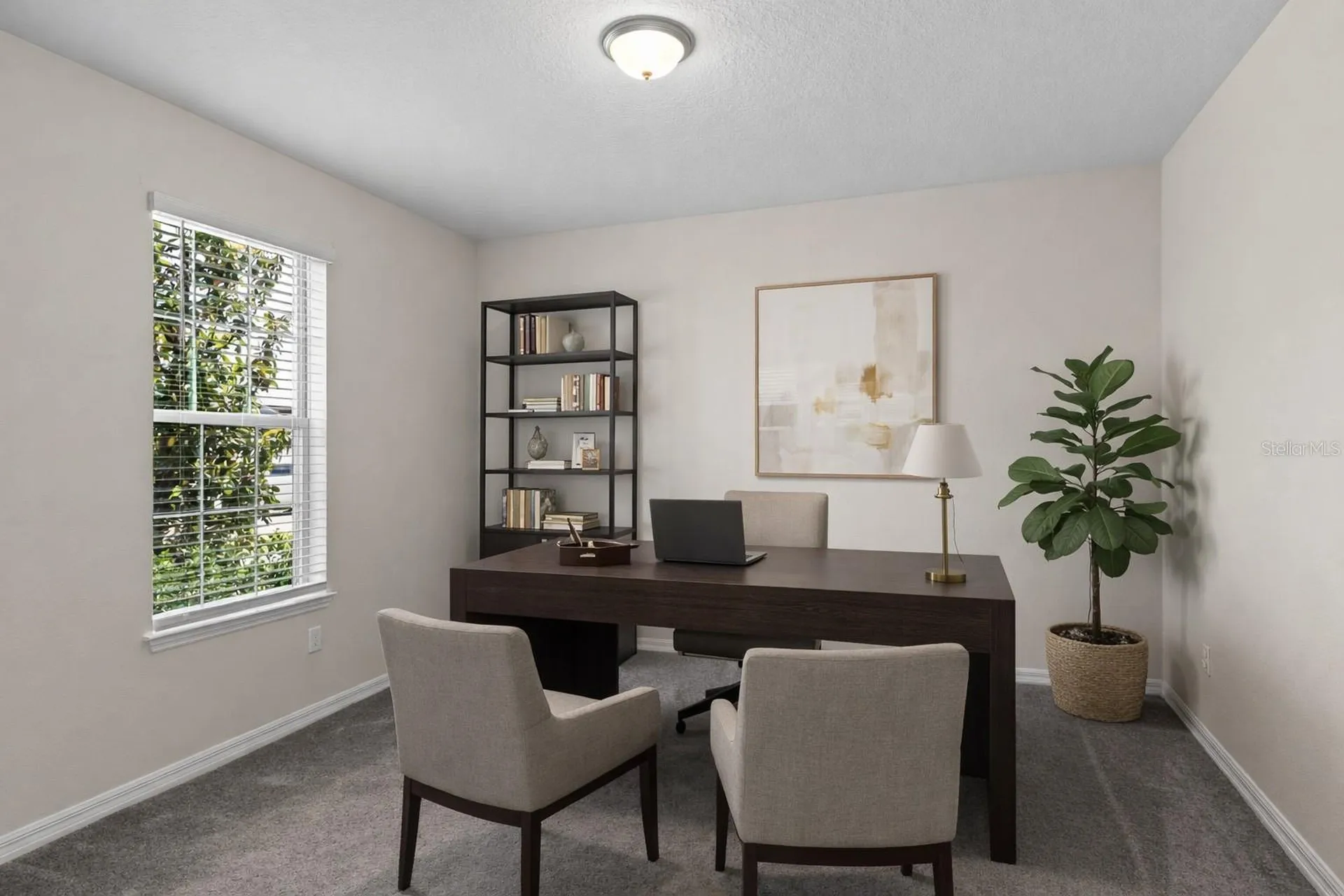 13871 Carlow Park Drive Riverview FL 33579