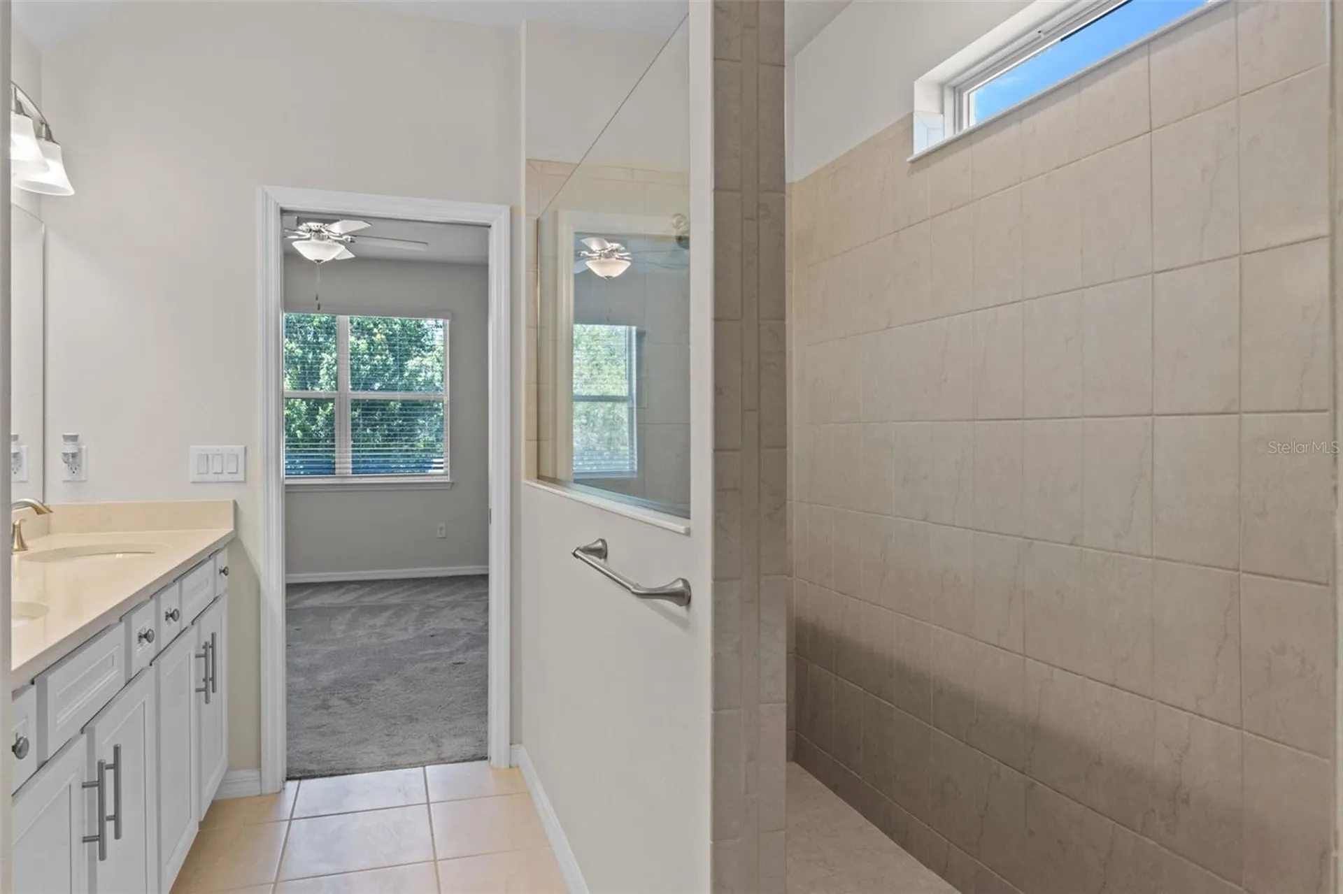 13871 Carlow Park Drive Riverview FL 33579