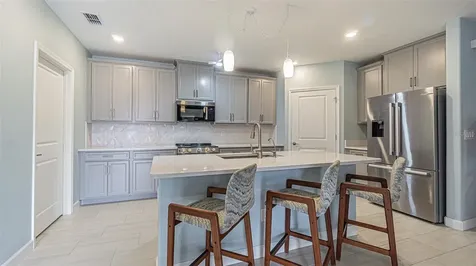 31310 Cabana Rye Avenue San Antonio FL 33576