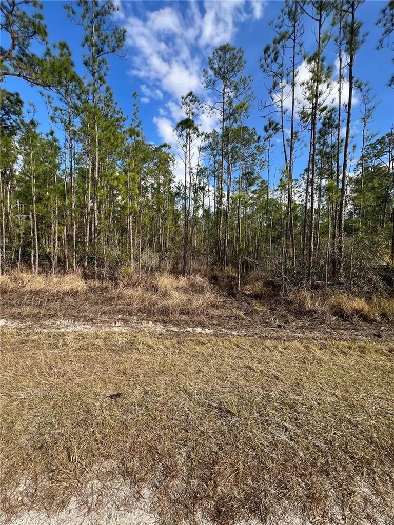 6660 Balboa Boulevard Sebring FL 33872