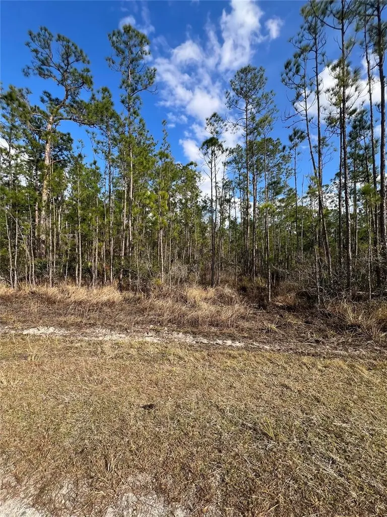 6660 Balboa Boulevard Sebring FL 33872