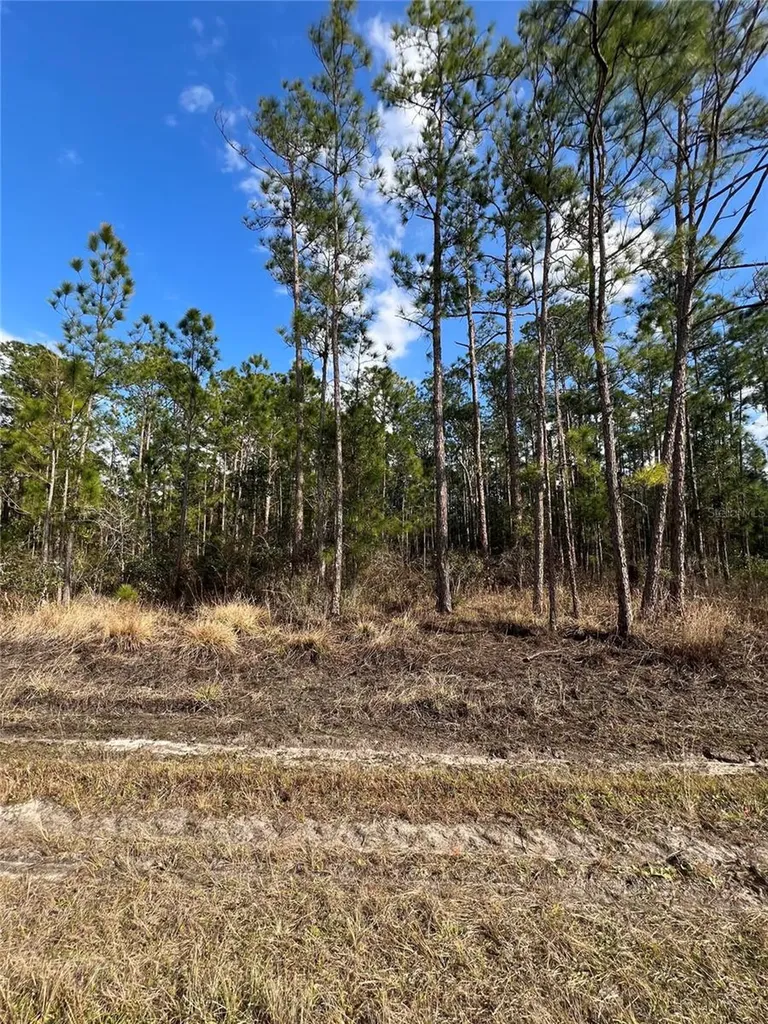 6660 Balboa Boulevard Sebring FL 33872