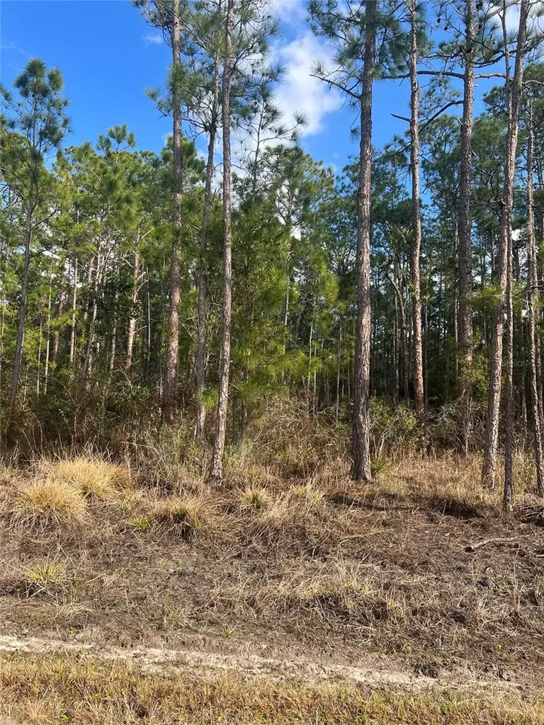 6660 Balboa Boulevard Sebring FL 33872