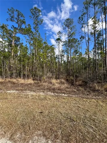 6660 Balboa Boulevard Sebring FL 33872