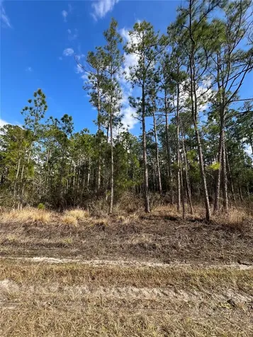 6660 Balboa Boulevard Sebring FL 33872
