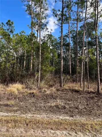 6660 Balboa Boulevard Sebring FL 33872