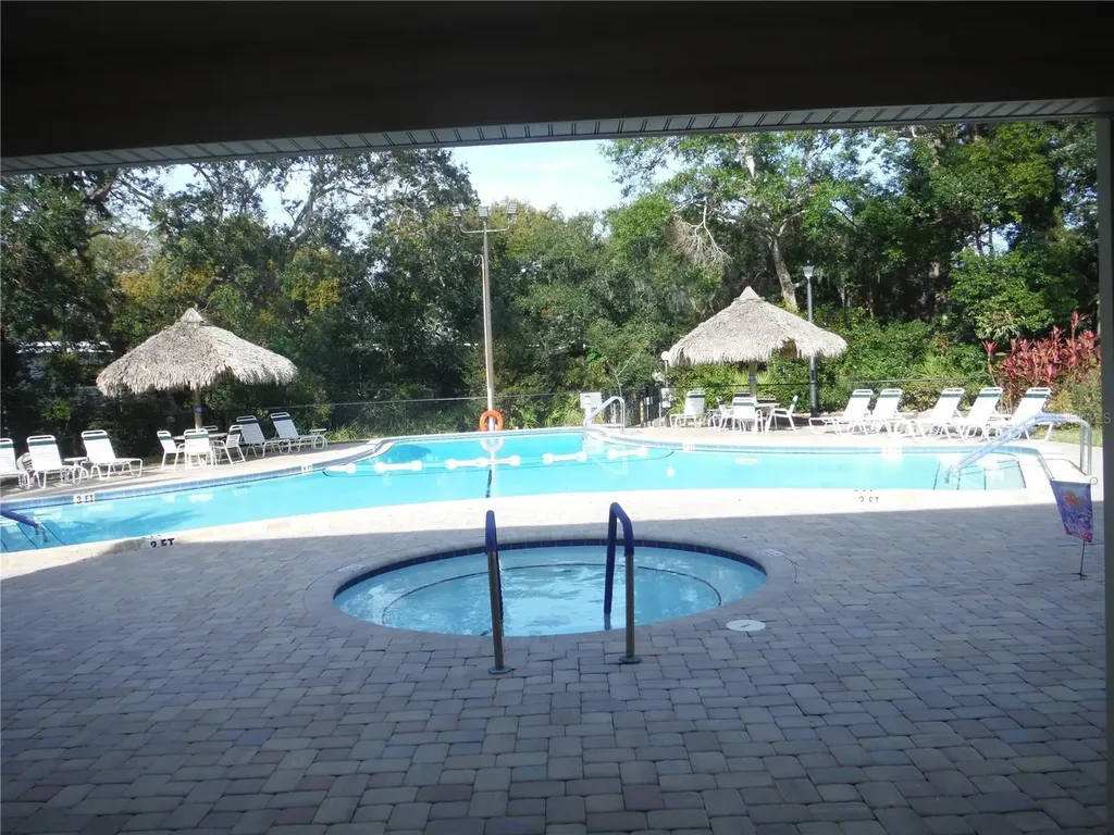98 Sugar Bear Drive Safety Harbor FL 34695