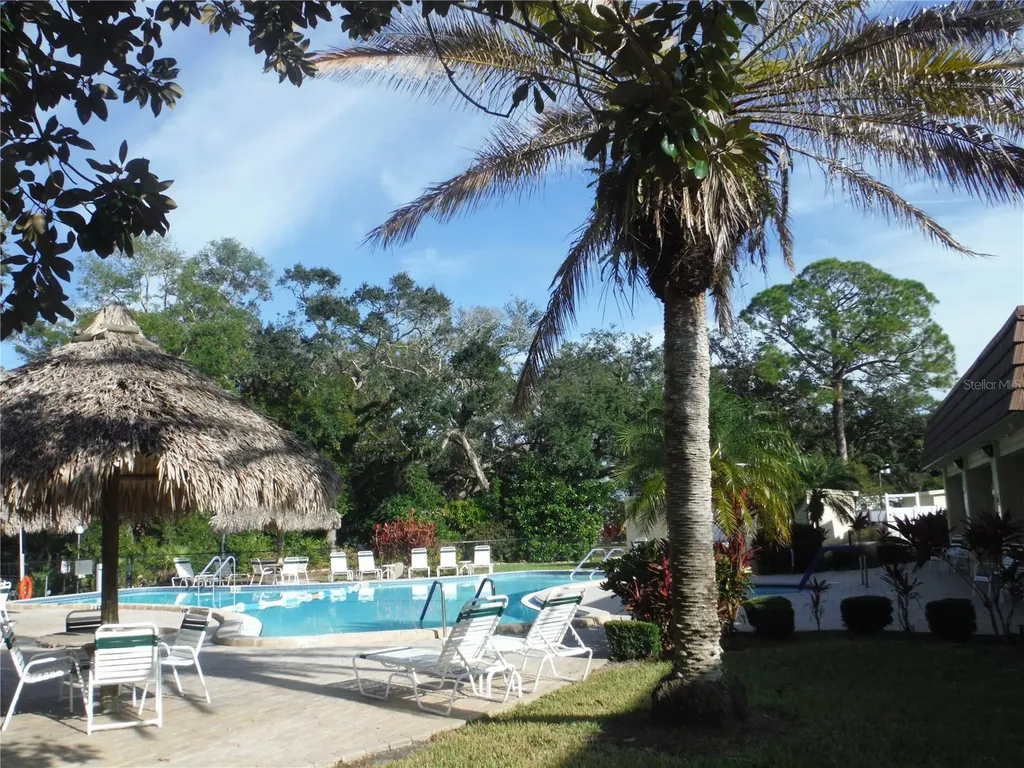 98 Sugar Bear Drive Safety Harbor FL 34695