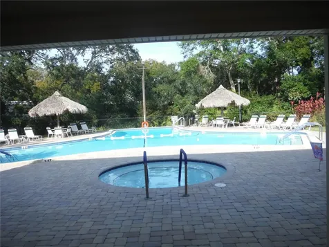98 Sugar Bear Drive Safety Harbor FL 34695