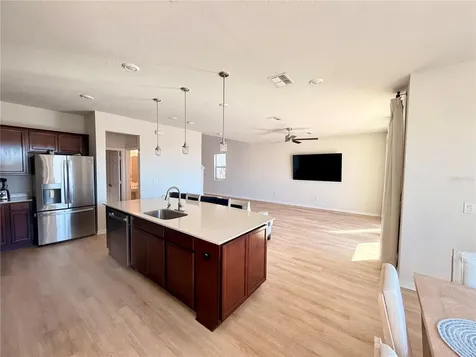 11415 Green Harvest Drive Riverview FL 33578