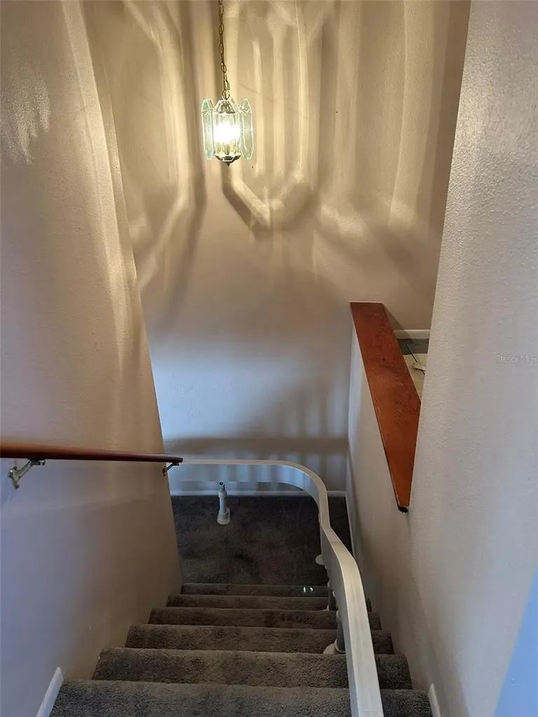 5411 Britwell Court Tampa FL 33624