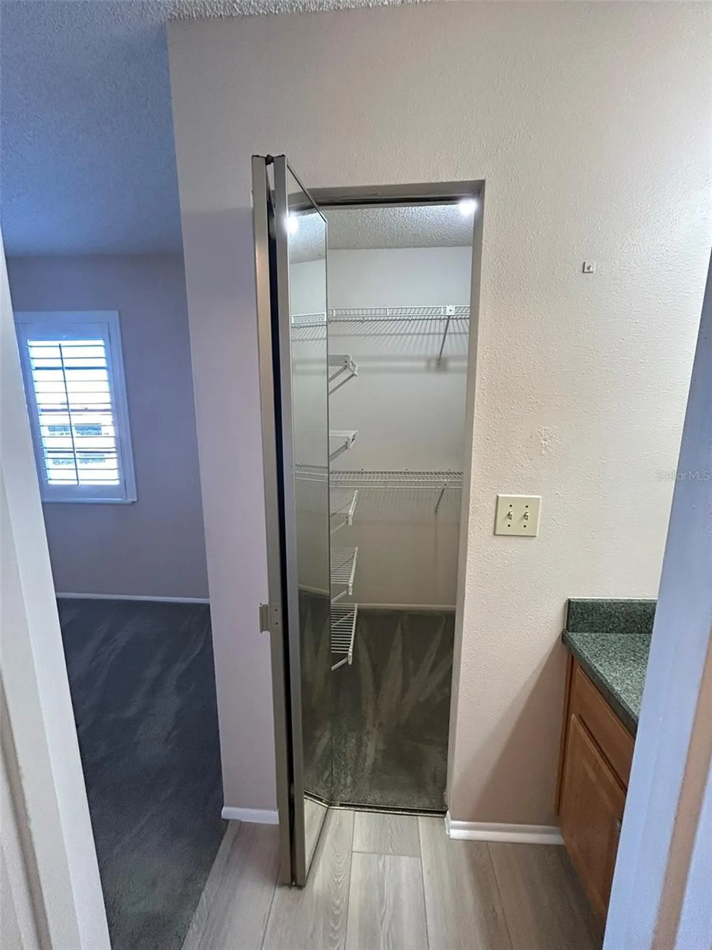 5411 Britwell Court Tampa FL 33624