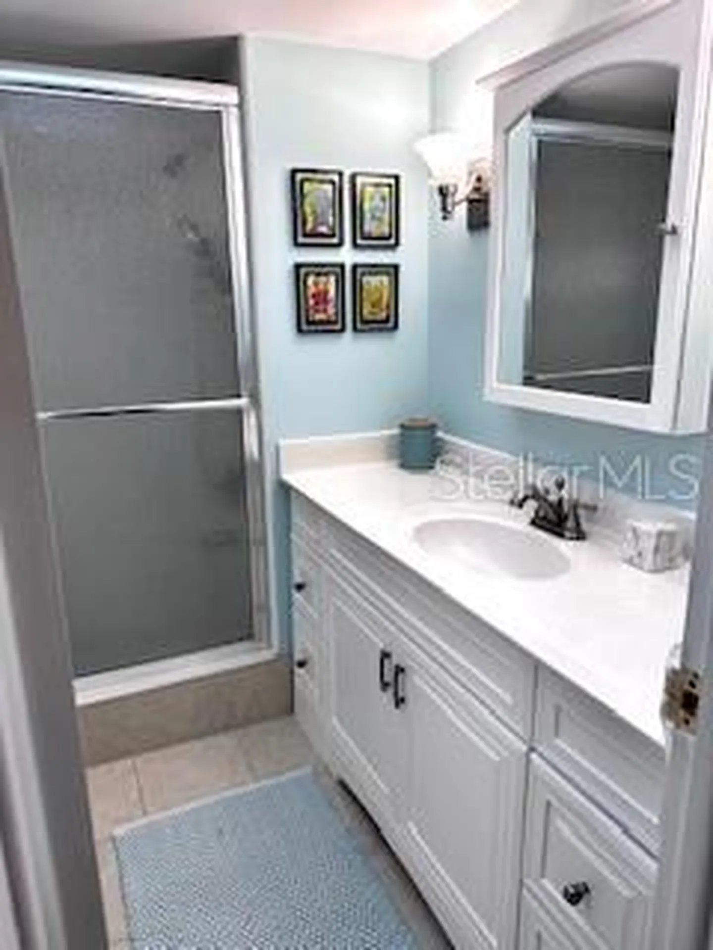 5108 Brittany Drive S St Petersburg FL 33715