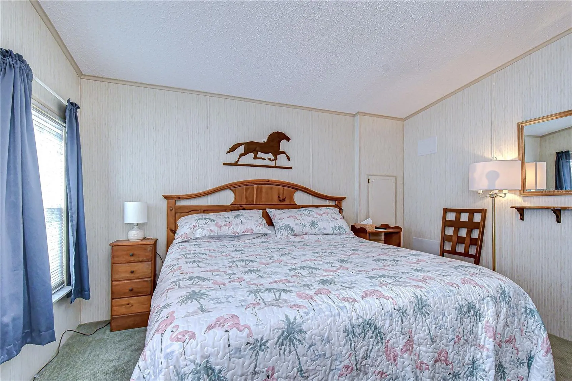 4843 Blanco Drive Zephyrhills FL 33541