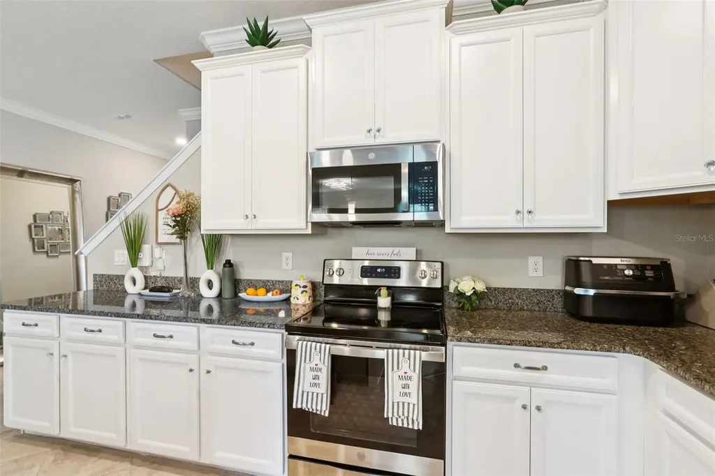 1306 White Fox Run Lutz FL 33549