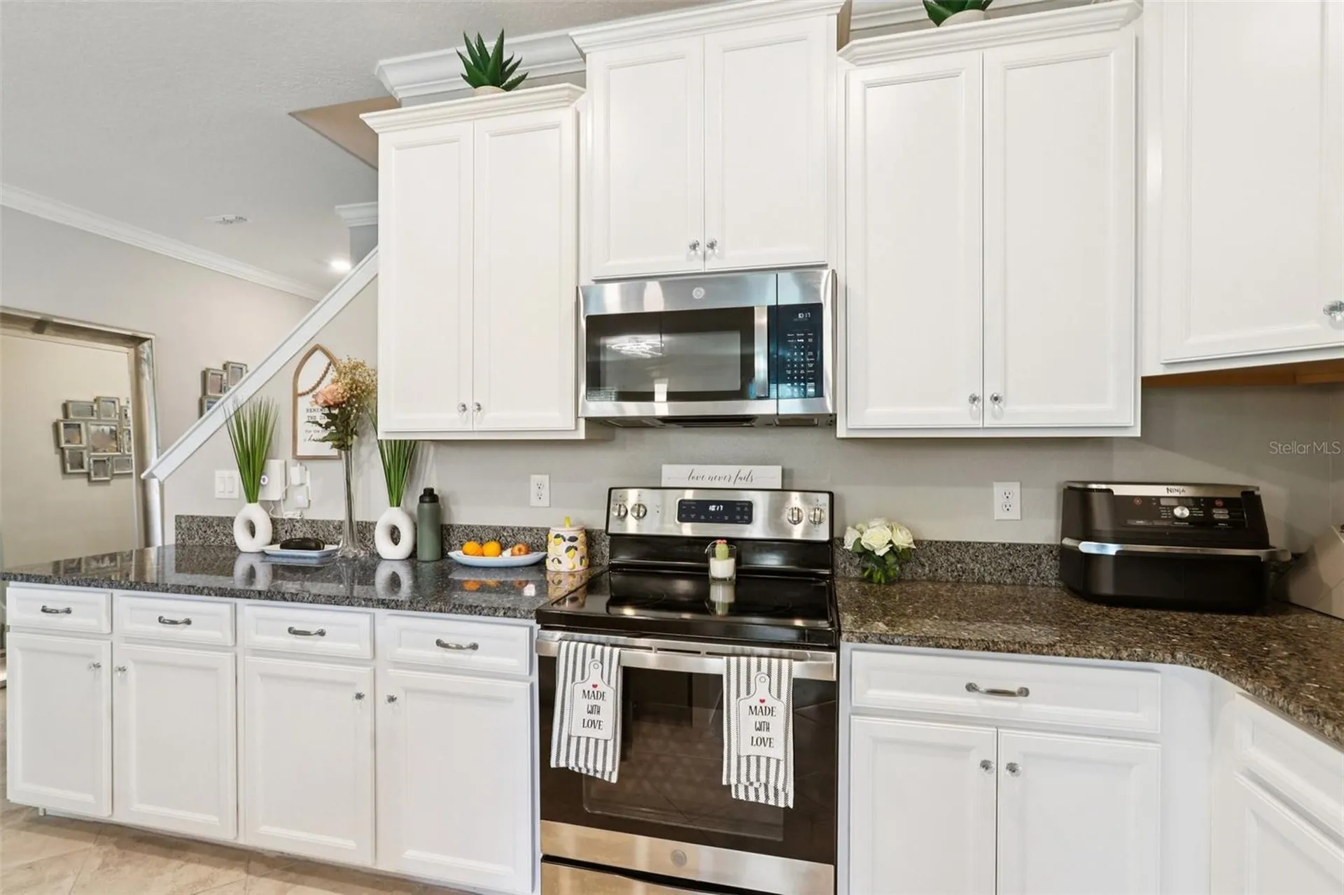 1306 White Fox Run Lutz FL 33549