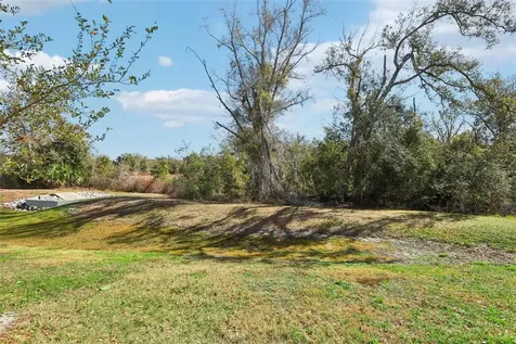 1306 White Fox Run Lutz FL 33549