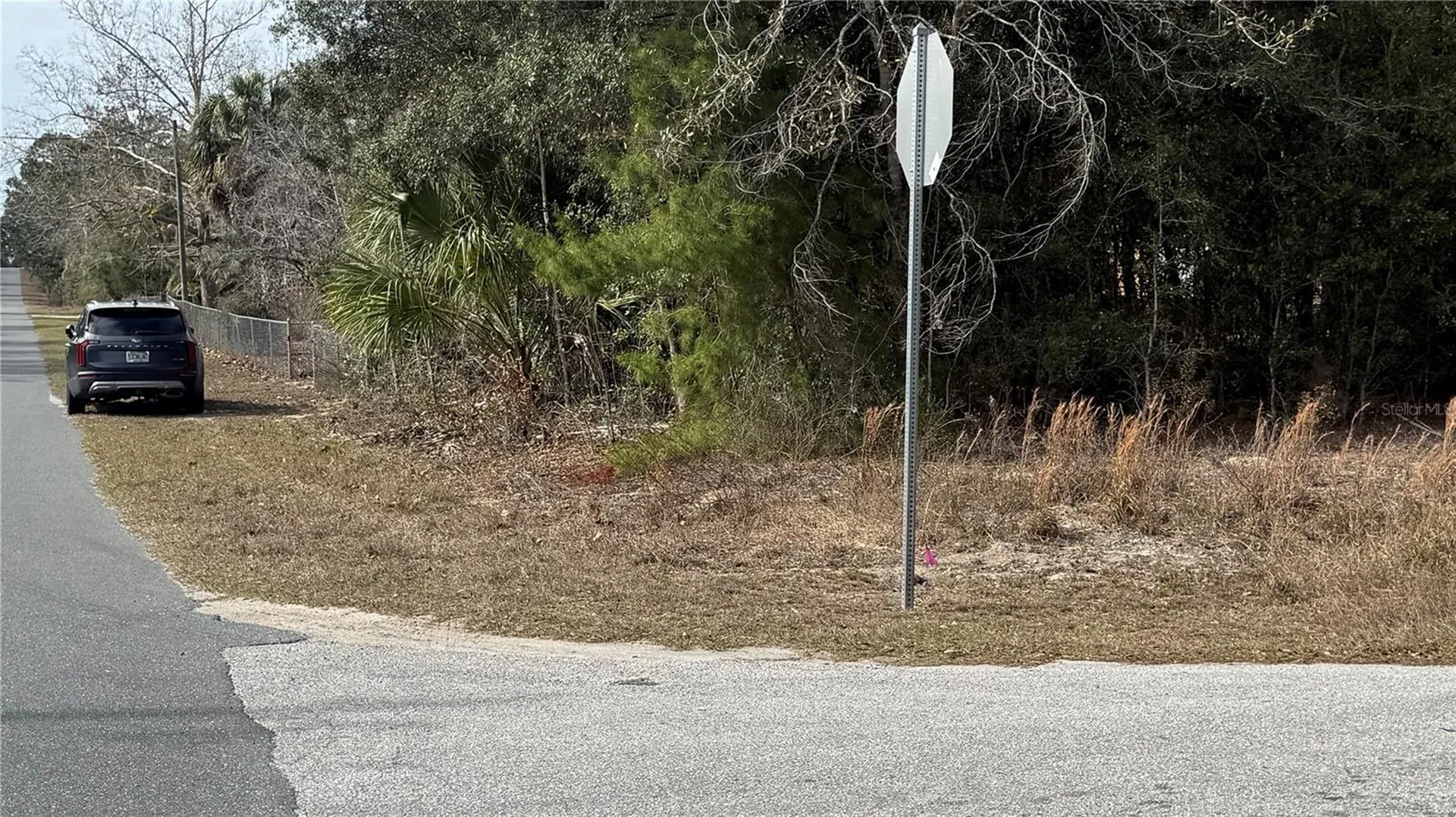 SW Beach Boulevard & SW Portulaca Court Dunnellon FL 34431