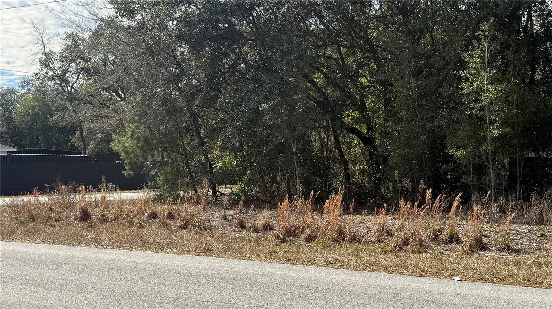 SW Beach Boulevard & SW Portulaca Court Dunnellon FL 34431