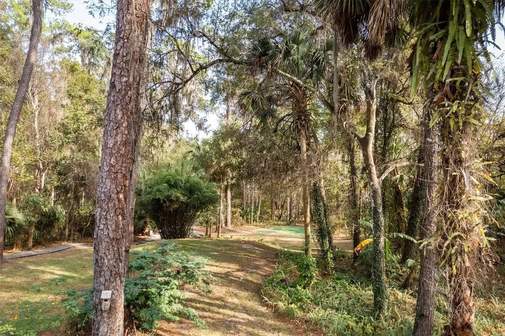22675 NW 75th Avenue Road Micanopy FL 32667