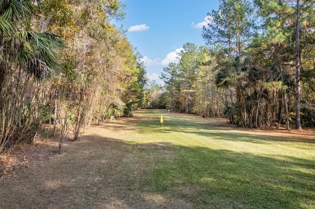22675 NW 75th Avenue Road Micanopy FL 32667