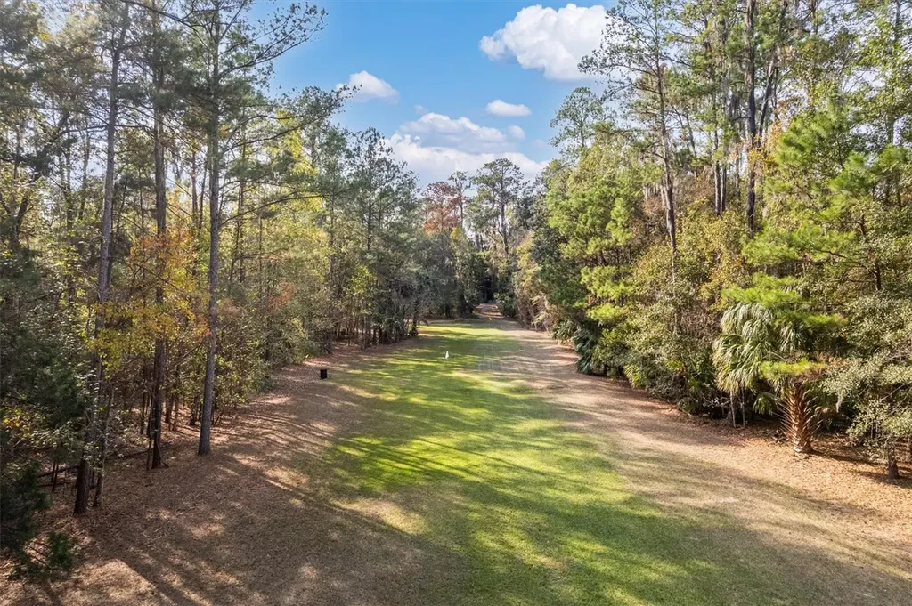 22675 NW 75th Avenue Road Micanopy FL 32667