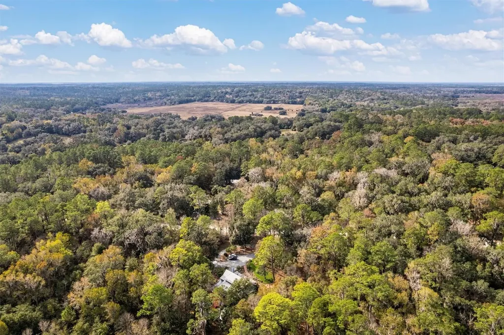 22675 NW 75th Avenue Road Micanopy FL 32667