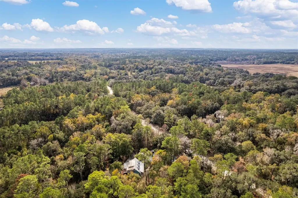 22675 NW 75th Avenue Road Micanopy FL 32667