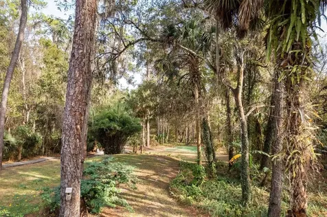 22675 NW 75th Avenue Road Micanopy FL 32667