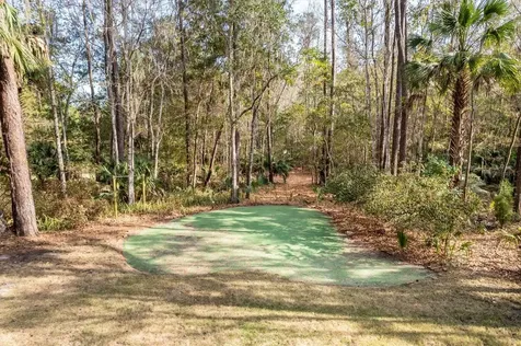 22675 NW 75th Avenue Road Micanopy FL 32667