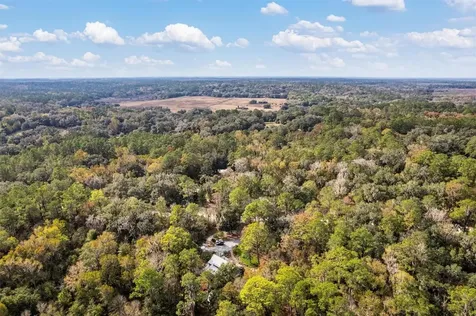 22675 NW 75th Avenue Road Micanopy FL 32667