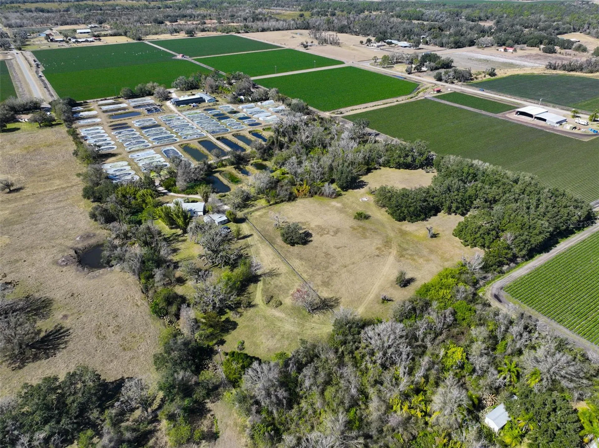 20112 Hobbs Road Wimauma FL 33598