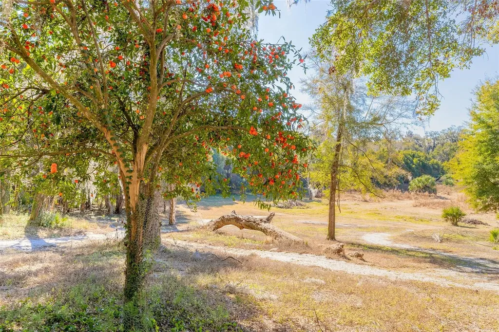 2095 Stone Road Deland FL 32720