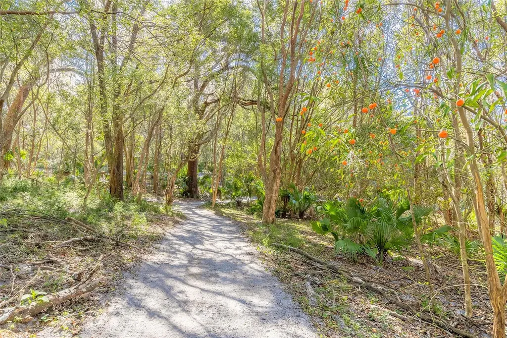 2095 Stone Road Deland FL 32720