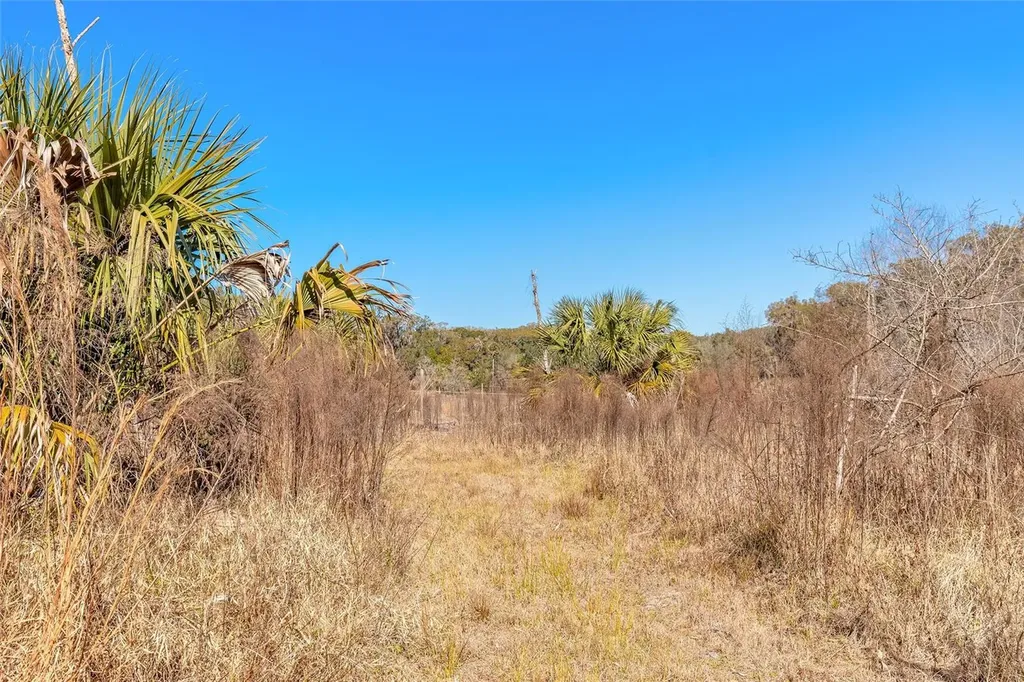 2095 Stone Road Deland FL 32720