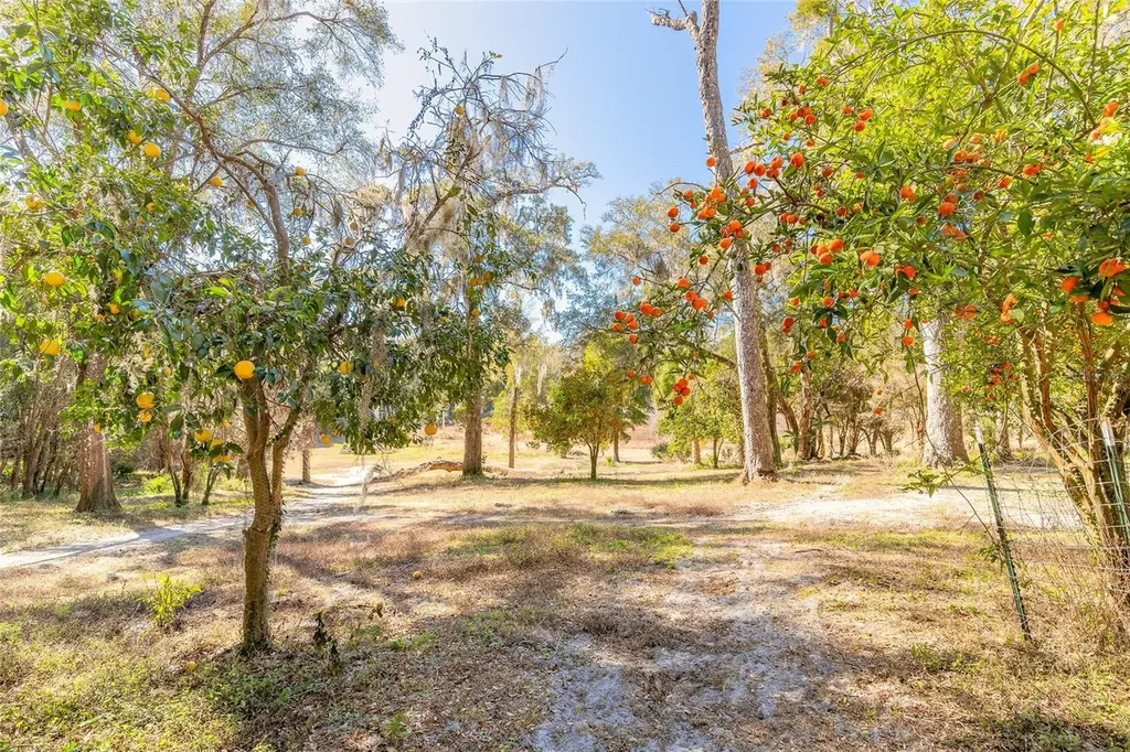 2095 Stone Road Deland FL 32720